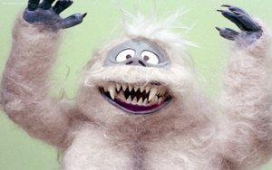 yeti 3.jpeg