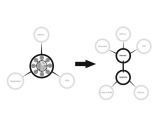 spinos-evolution-1